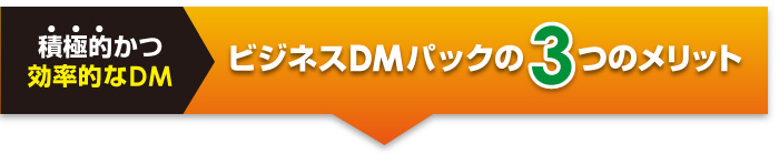 ¥Ó¥¸¥Í¥¹DM¥Ñ¥Ã¥¯¤Î3¤Ä¤Î¥á¥ê¥Ã¥È